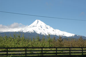 Mount Hood Original (300x200) 